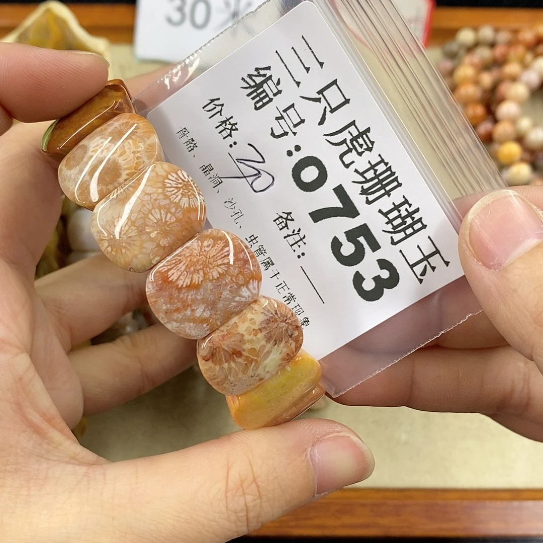 硅化珊瑚（珊瑚玉）1未镶嵌鹿*