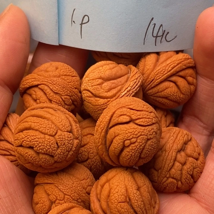 手串文玩核桃秦岭龙纹桃核19