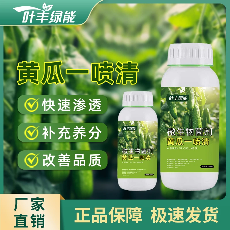 叶丰绿能黄瓜一喷清黄瓜专用肥料快速渗透补充养分增产微生物肥料