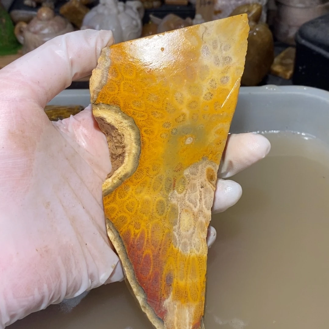 【闪购商品】硅化玉颈饰未镶嵌