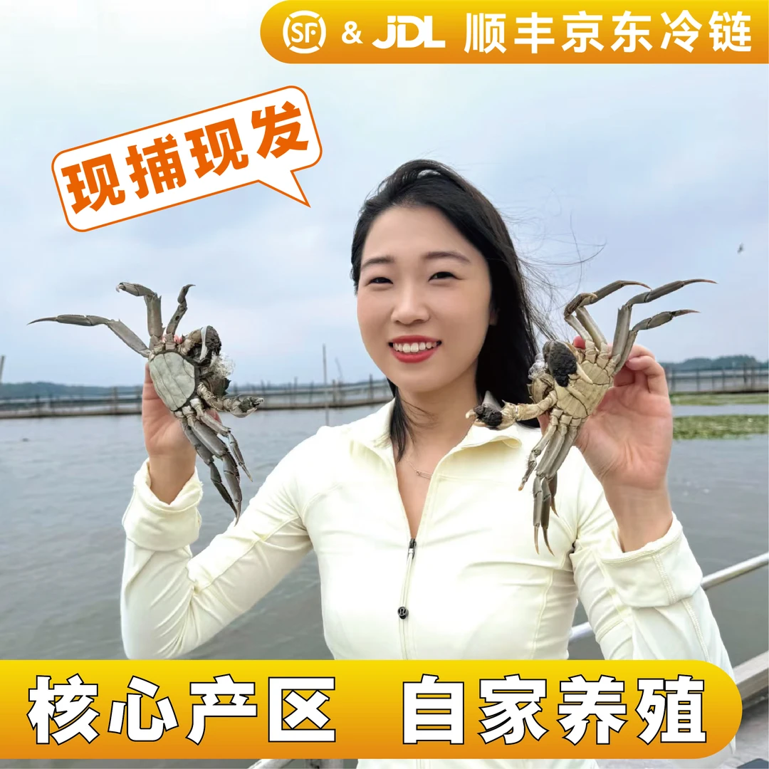 【巨无霸】5-4.7两公+4.3-4两母6-10只大闸蟹自家养殖活蟹