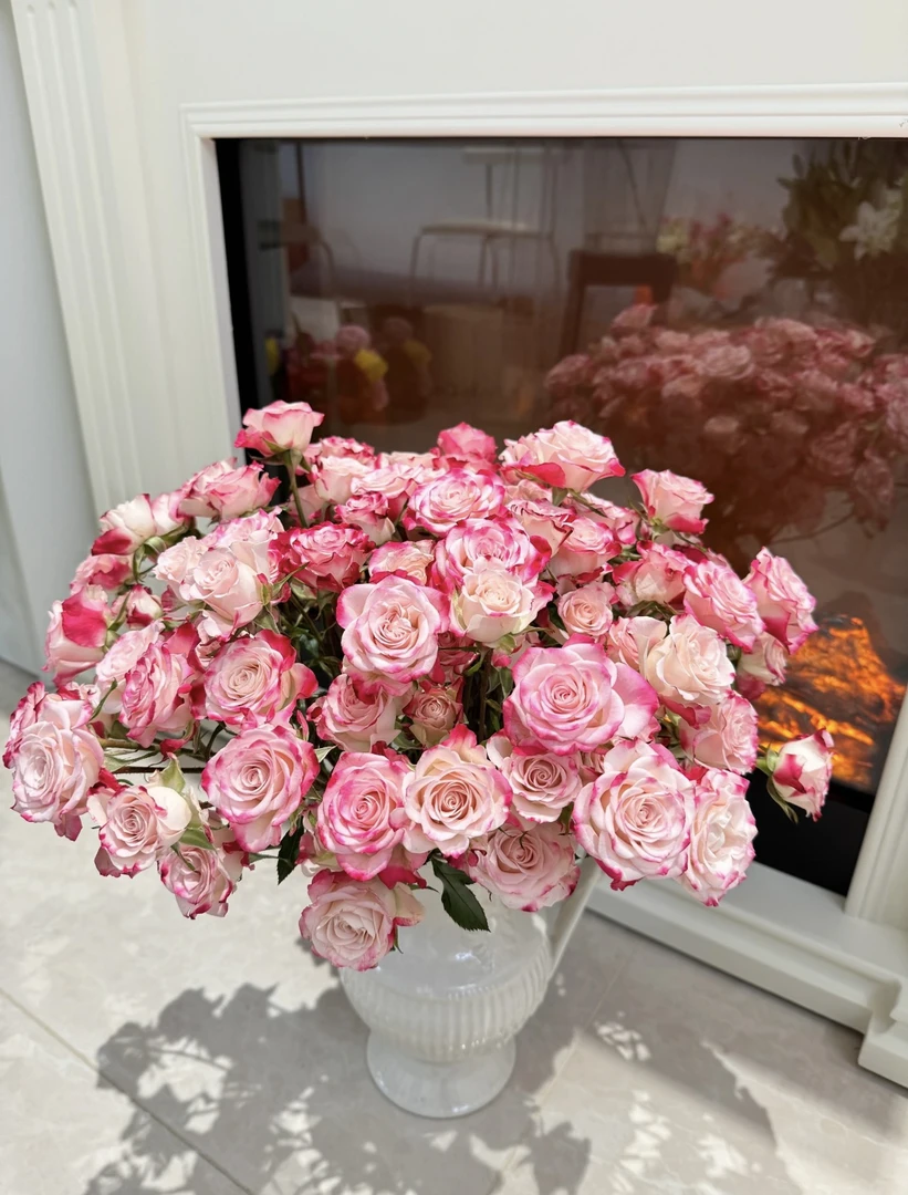 【折射泡泡】云南昆明基地直发AB级多头玫瑰渐变