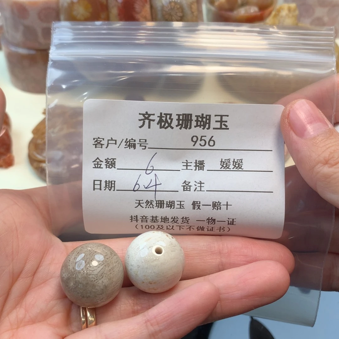 硅化珊瑚（珊瑚玉）未镶嵌颈饰j****在