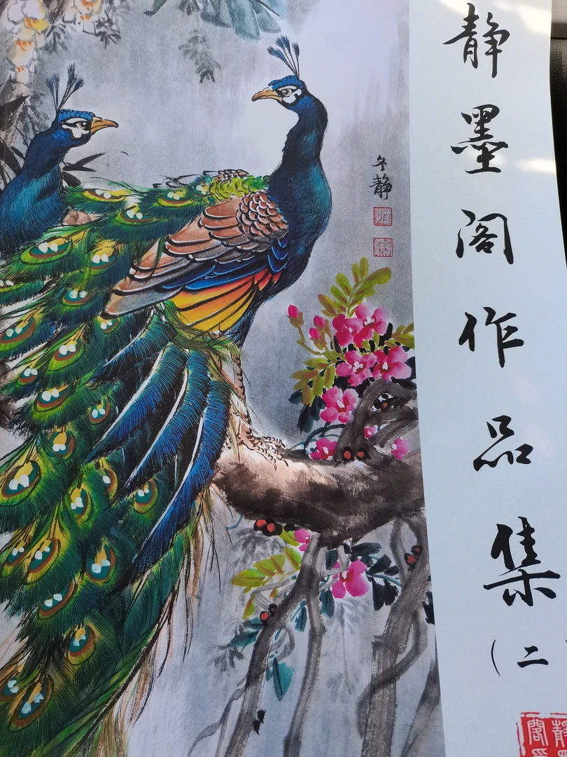 静墨阁孔雀画册（二）孔雀国画