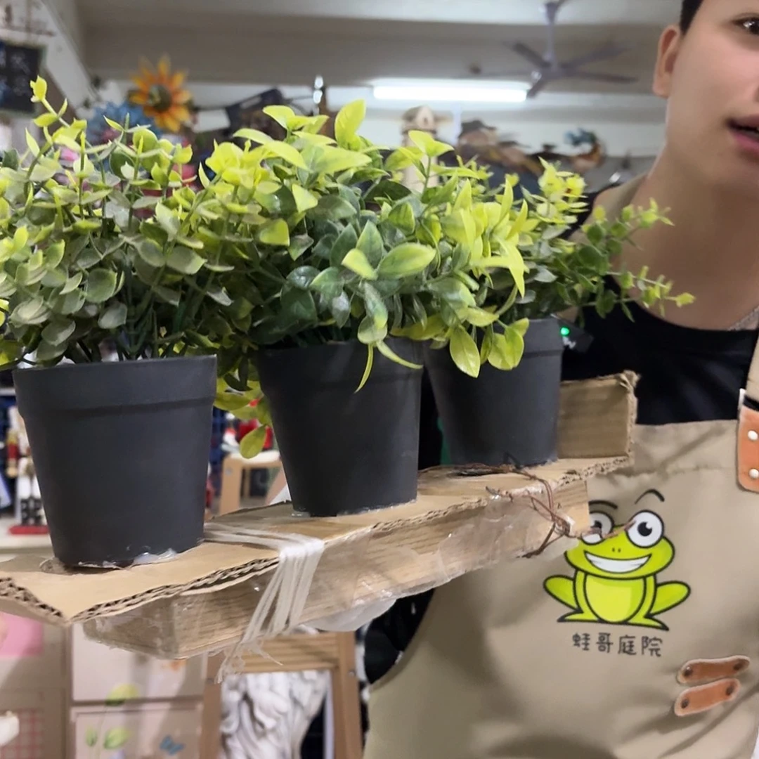 核桃木/黑胡桃（胡桃木）