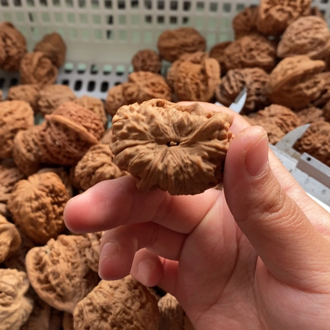 大***闪大叶紫檀（黑酸枝木类）