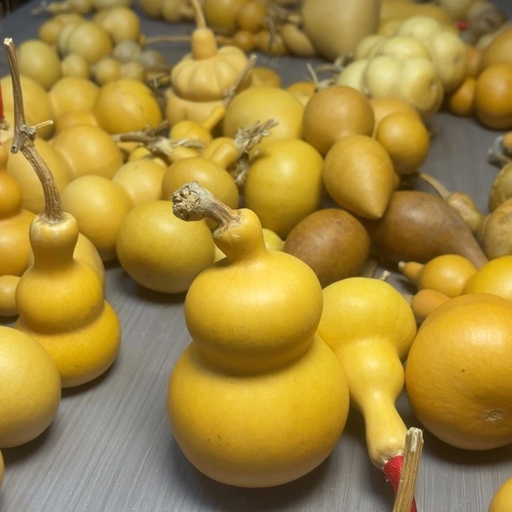 A***团健健康康快快乐乐