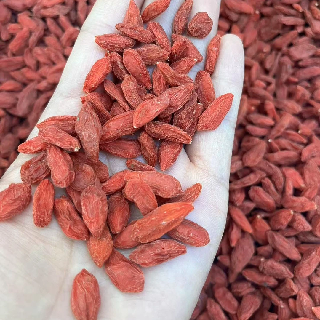 2025年宁夏中宁头茬红枸杞正宗宁夏枸杞