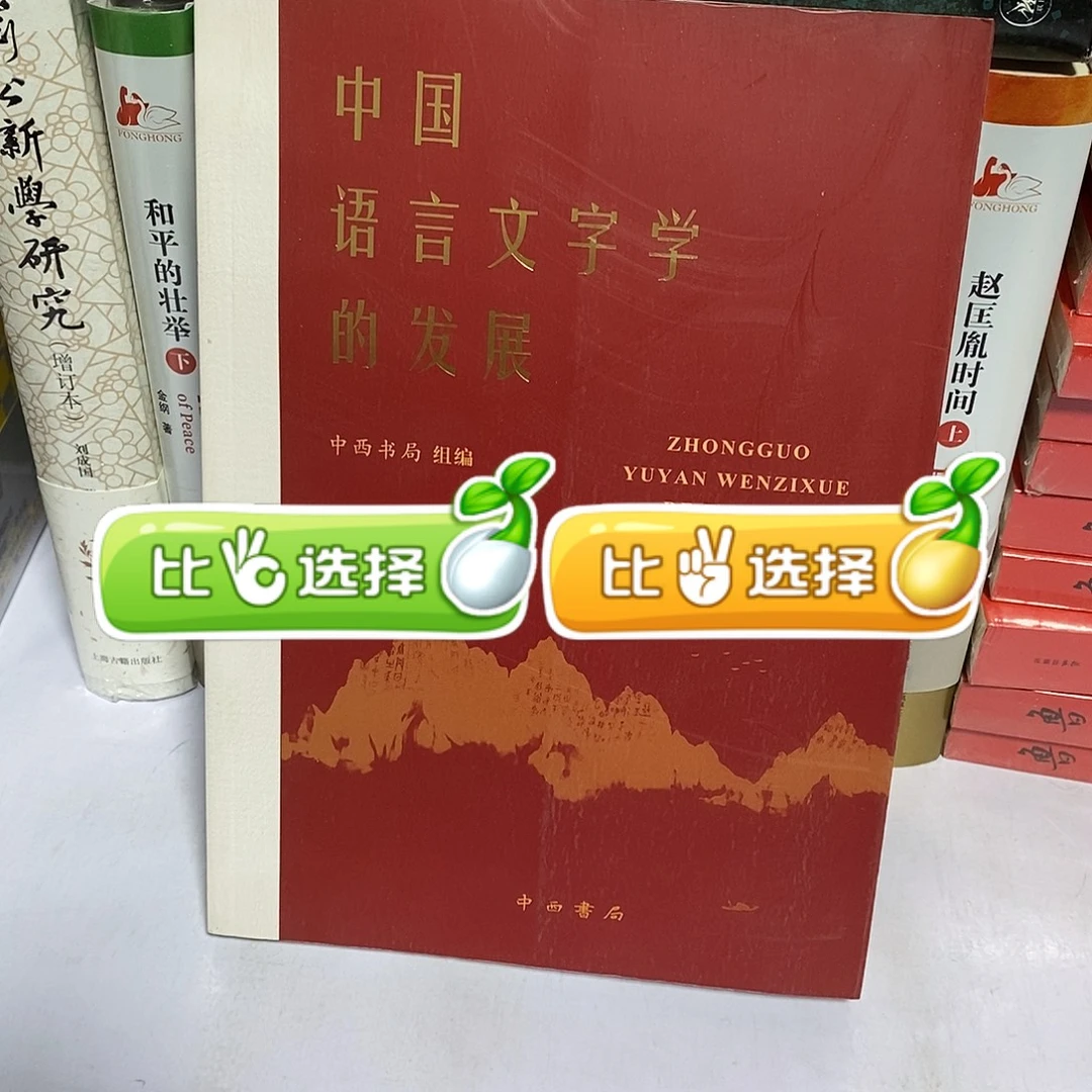 中国语言文字学的发展……