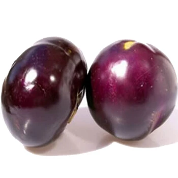 圆茄子500g /份茄子同城配