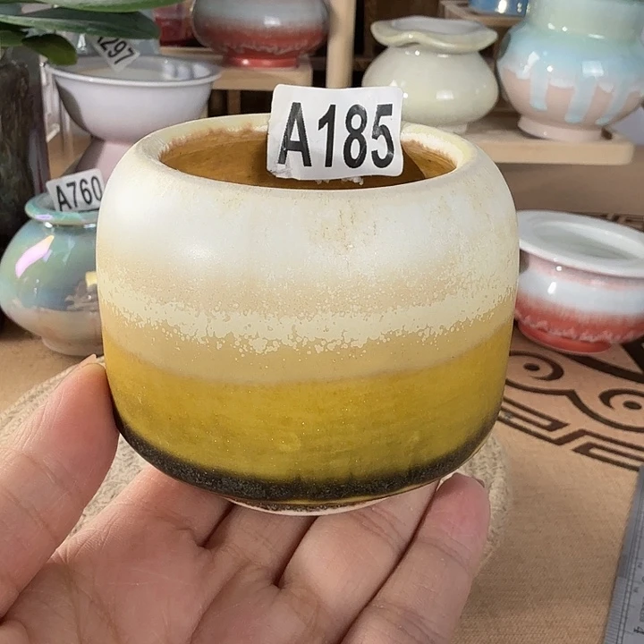 满28包邮当天凑够口5高7