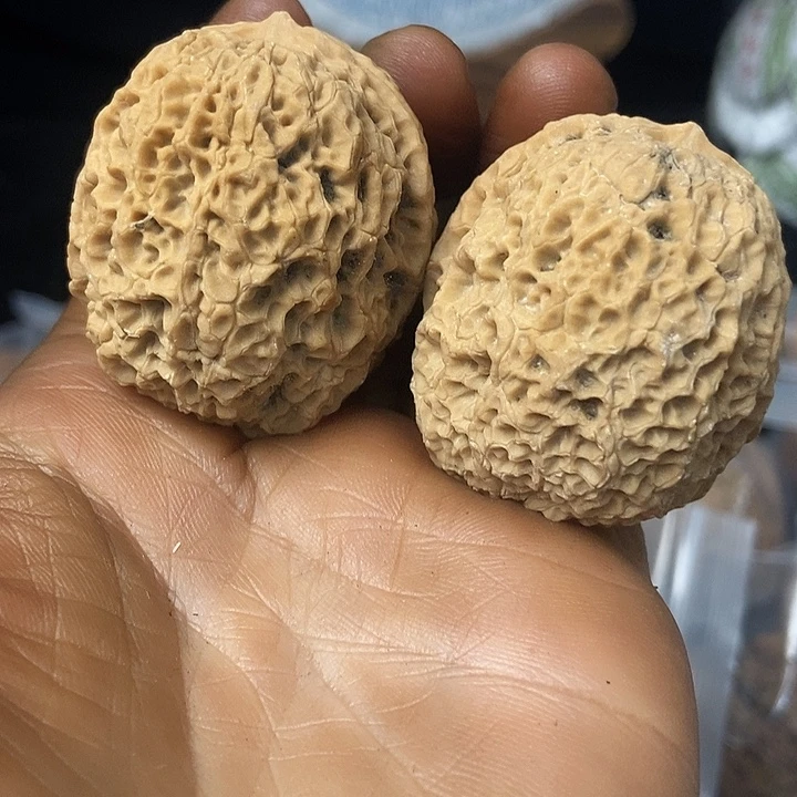 把件文玩核桃云南铁核桃基地94