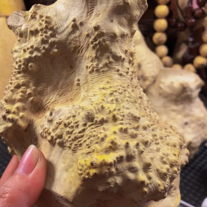 蚬**蚬木料木料木料木料