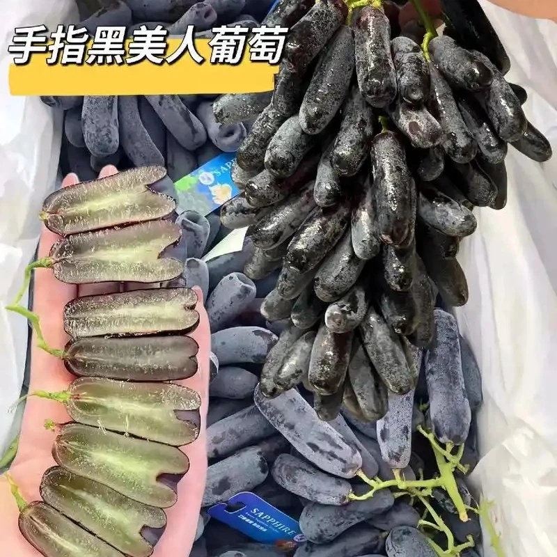 金手指黑提子（2斤）（只有24小时之内售后）