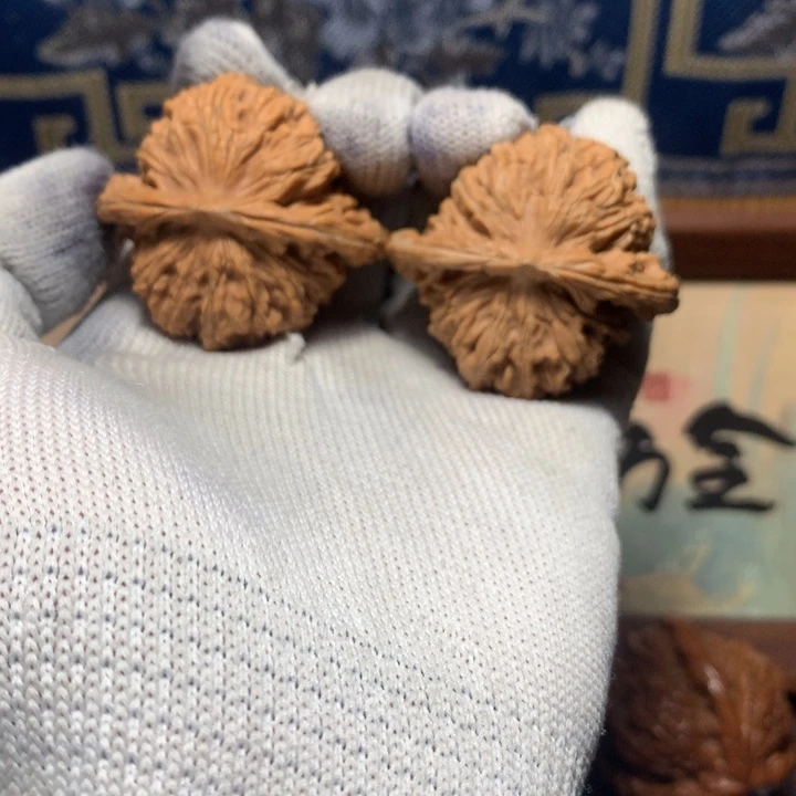 用***5哈哈哈哈哈哈哈哈哈