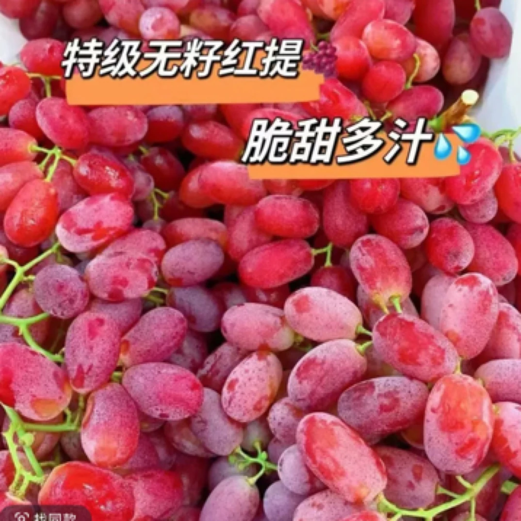 【整果】无特级无籽红提500g红提