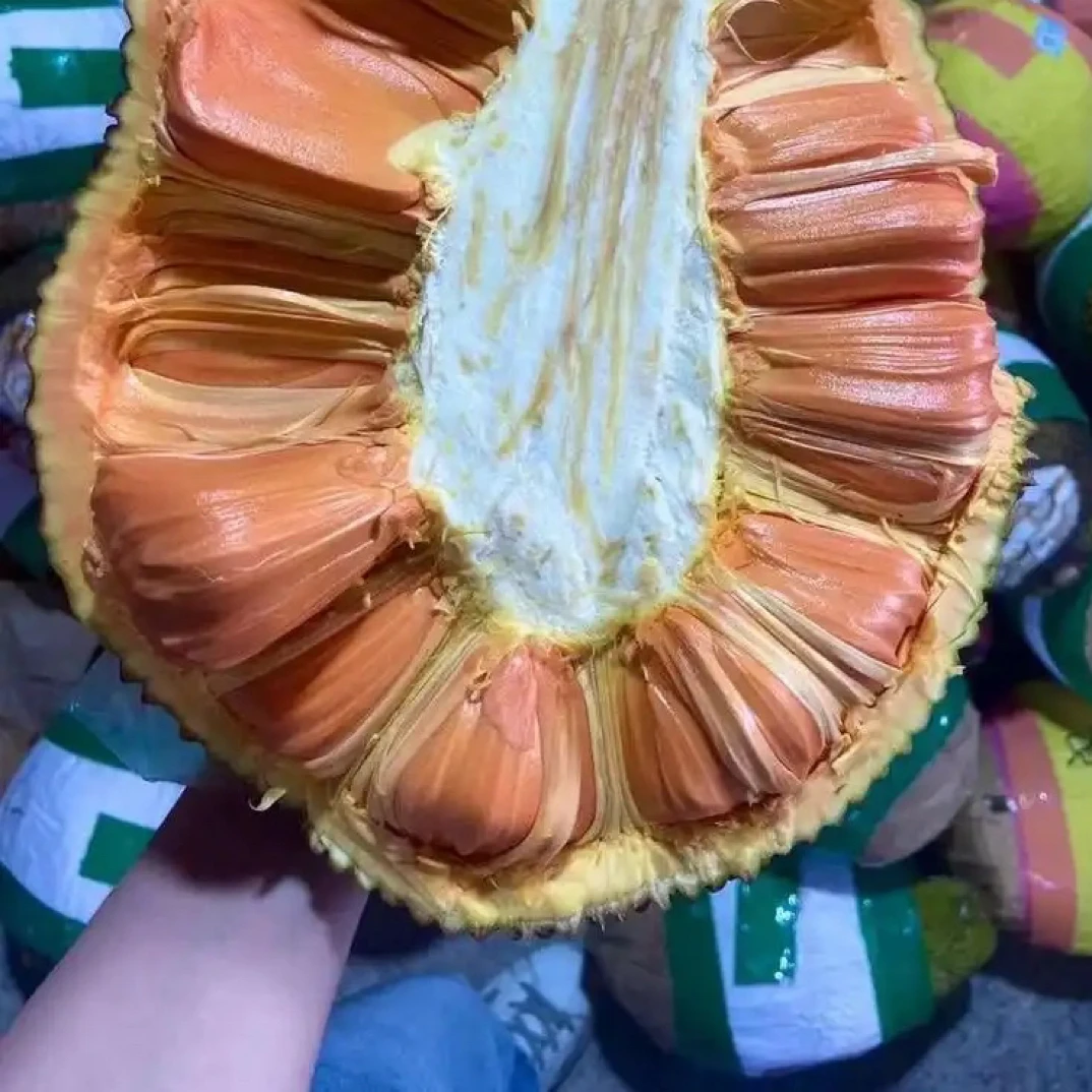 正宗进口印尼红肉菠萝蜜顺丰包邮次日达红肉菠萝蜜越南社会主义共和国