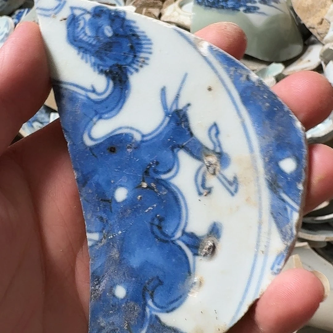 瓷片瓷片标本，顺丰包邮