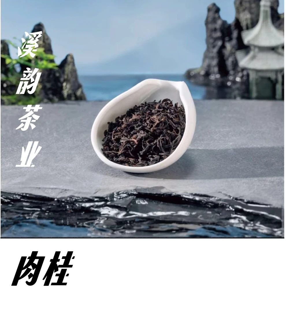 武夷山肉桂高香岩茶