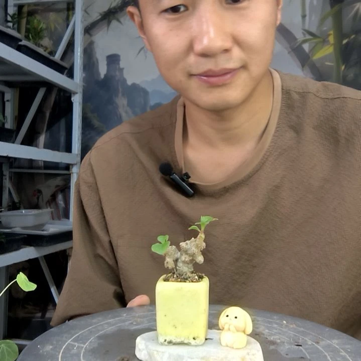 扶**上中青园艺一物一拍107