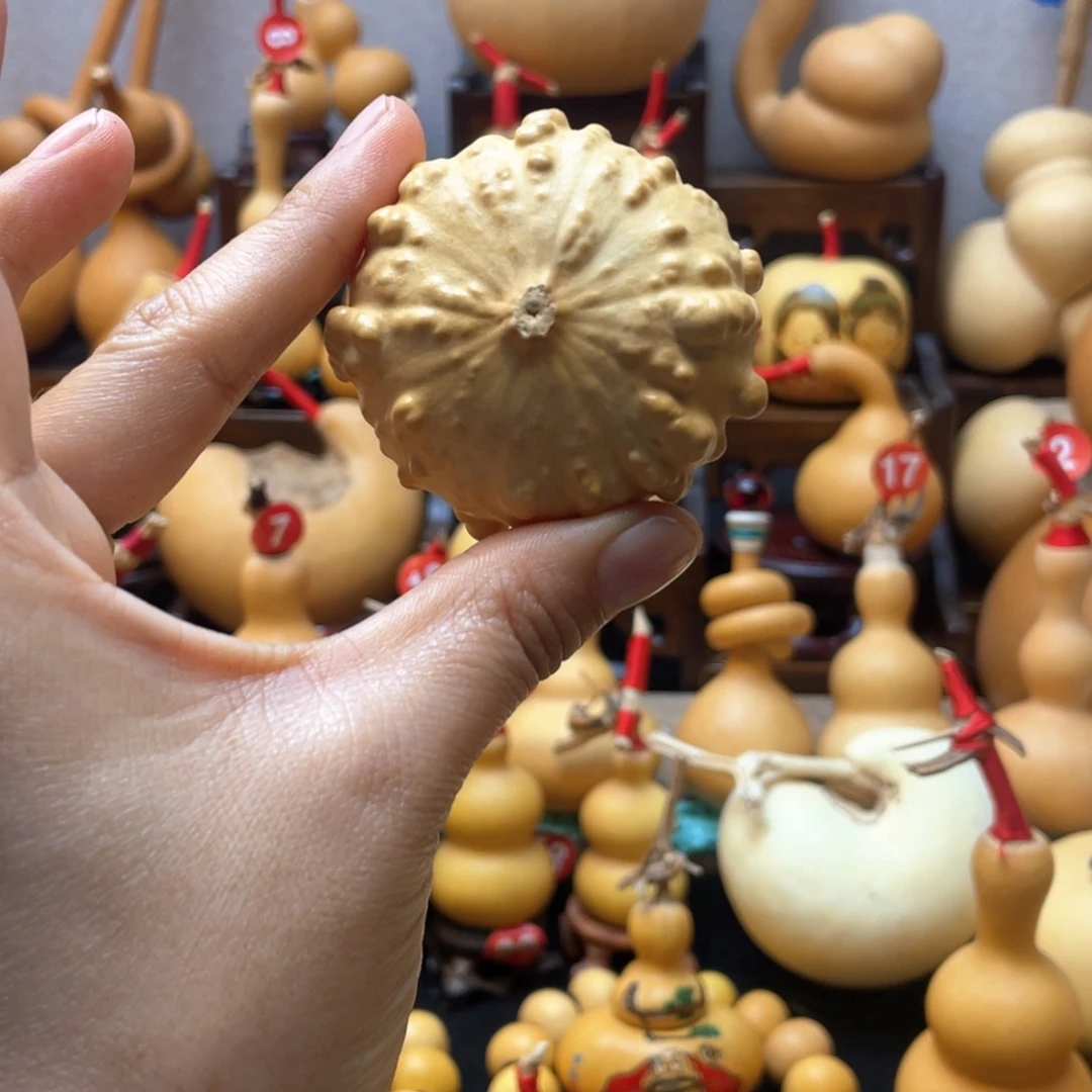 是**啊大自然的秘密第十一节你是什么