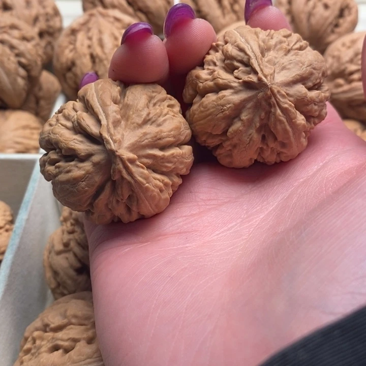 @***然文玩核桃吊坠霸王龙