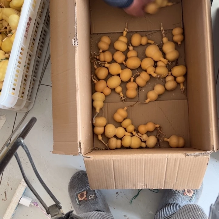 素***往大叶紫檀（黑酸枝木类）