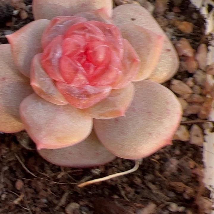 暖***52025专拍链接啊啊啊啊