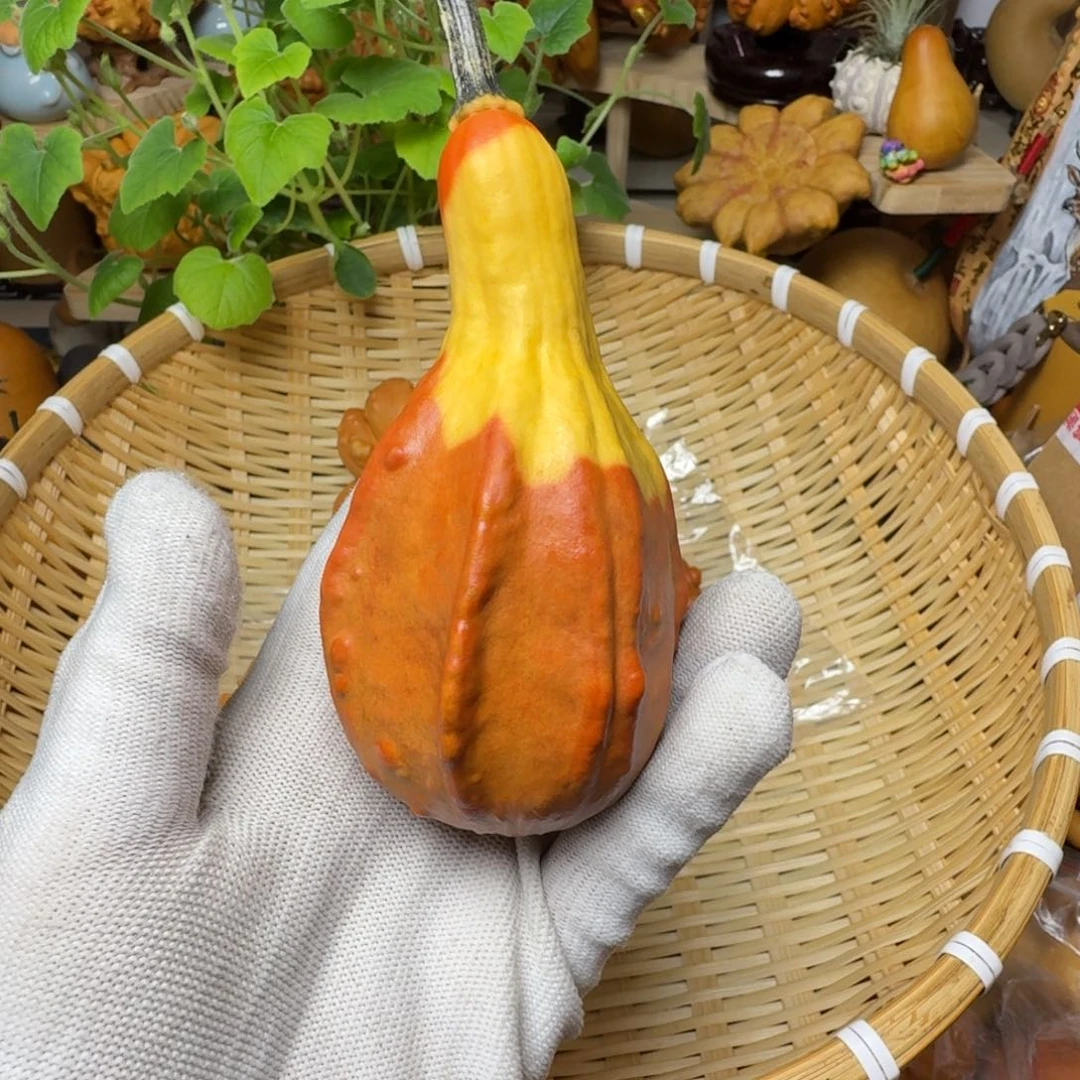 绚*特价葫芦不退不换