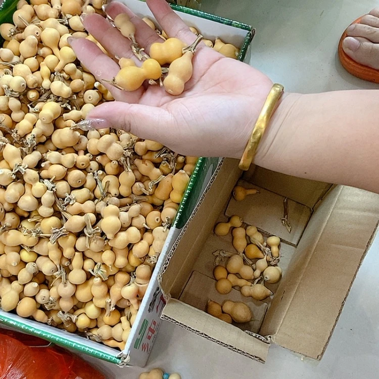 【闪购商品】A****a葫芦葫芦葫芦葫芦葫芦葫芦