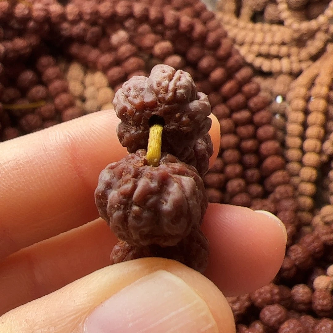 肥***仔金刚菩提吊坠矮壮梅花，拍一发三条