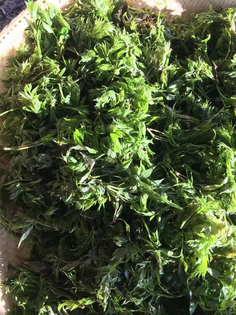 张家界土特产有机蔬菜