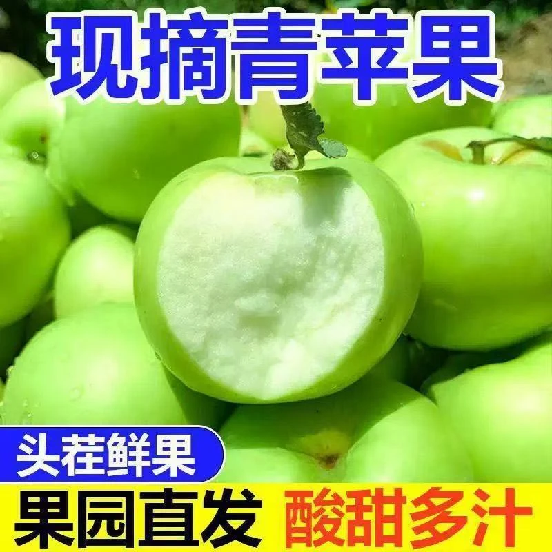 头茬现摘】正宗青苹果新鲜小苹果应季水果孕妇水果酸甜水果包邮