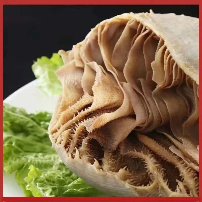 净重3斤牛毛肚整块爆炒烧烤川渝火锅食材 固形物含量80%以上