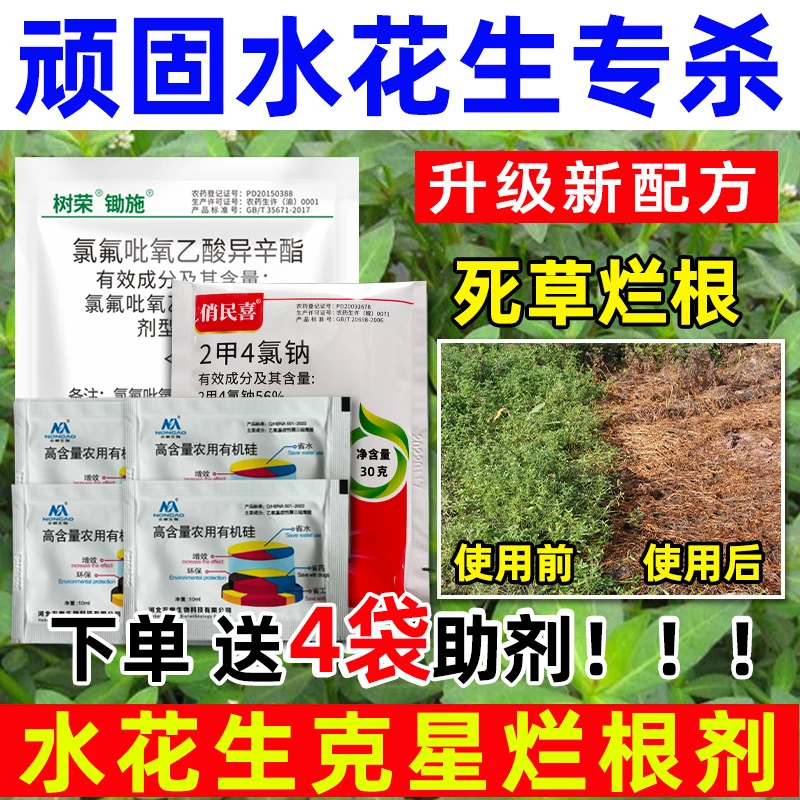 水花生专用除草剂氯氟吡氧乙酸空心莲子草水花生克星死草烂根剂