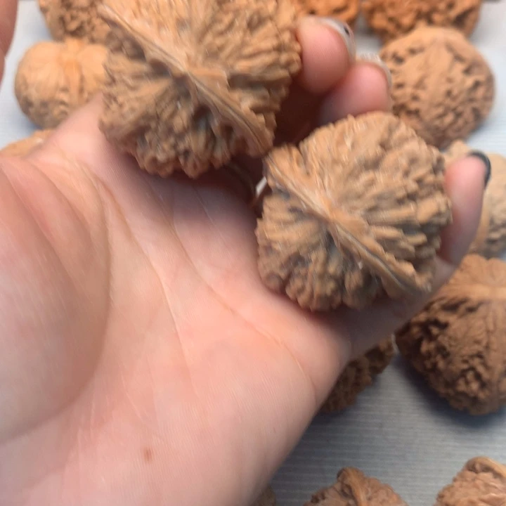 把件文玩核桃白狮子44