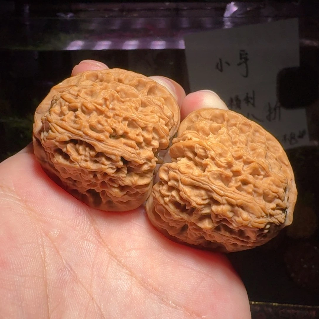 半*腰1753号41南疆石南疆石南疆石南疆石