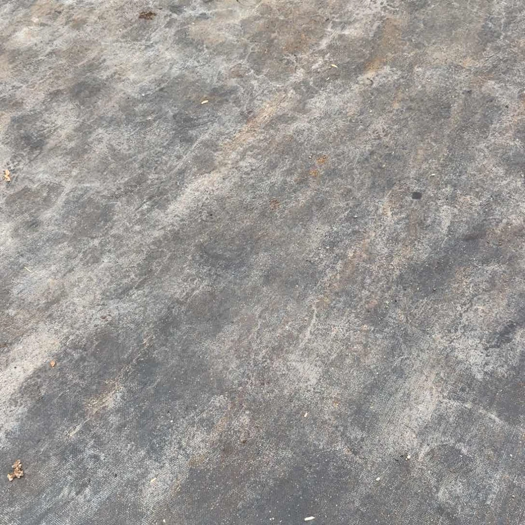 保底100颗糖心+东云混6号箱子发货