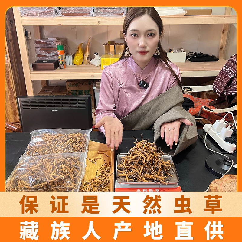 【玉树小草5根/克】草小二天然虫草 玉树官方旗舰店藏族人产地直供