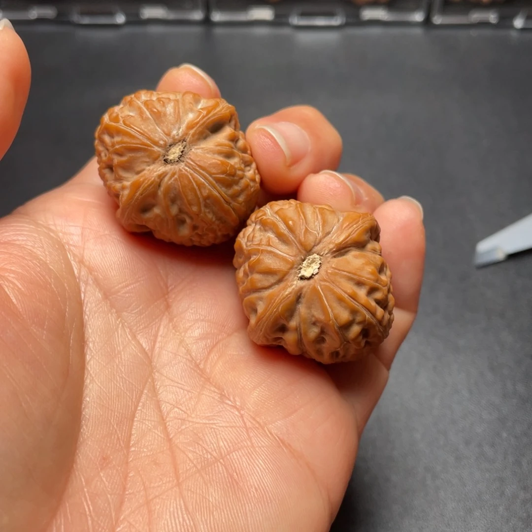 【闪购商品】把件文玩核桃舍利………