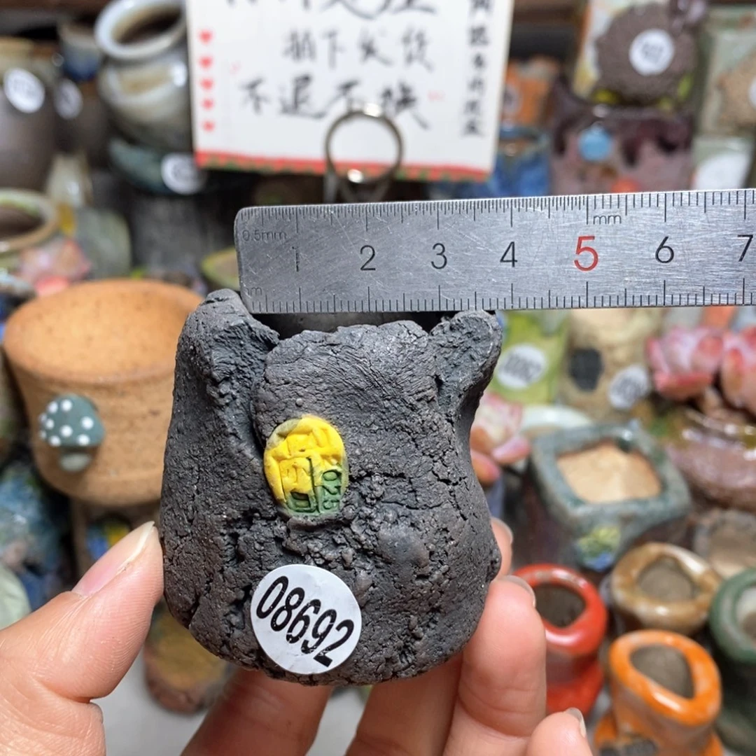 花盆拍3送一个小礼物