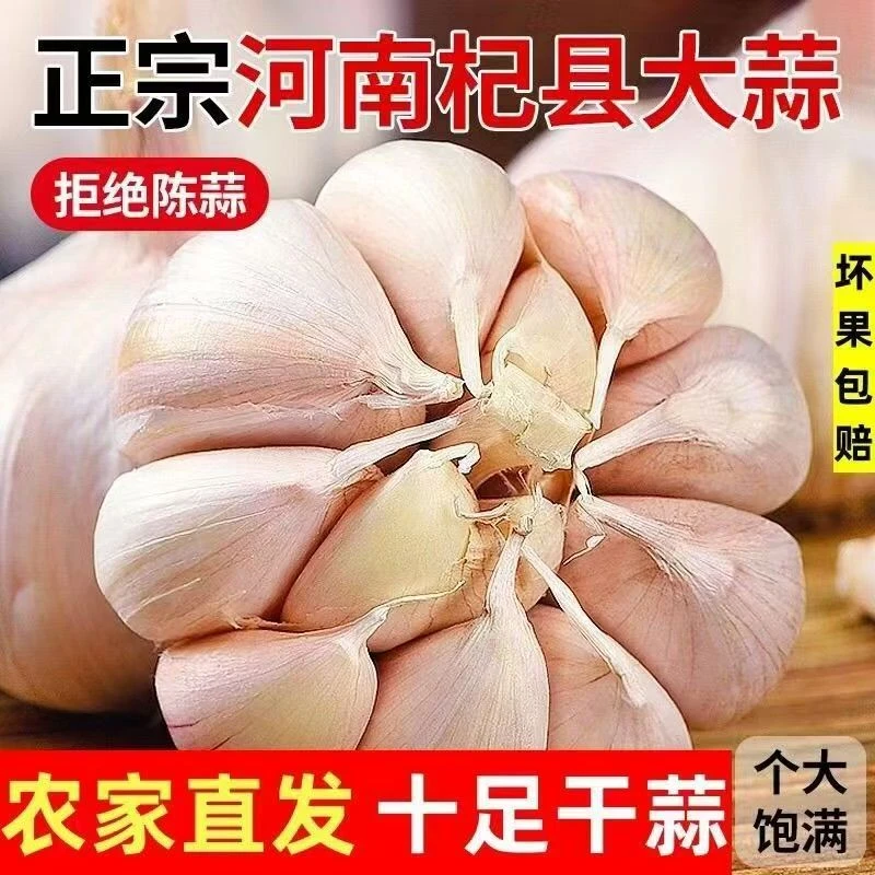 【精选优选】新紫白皮大蒜头紫皮大蒜干蒜湿蒜可批发商用家用5斤装