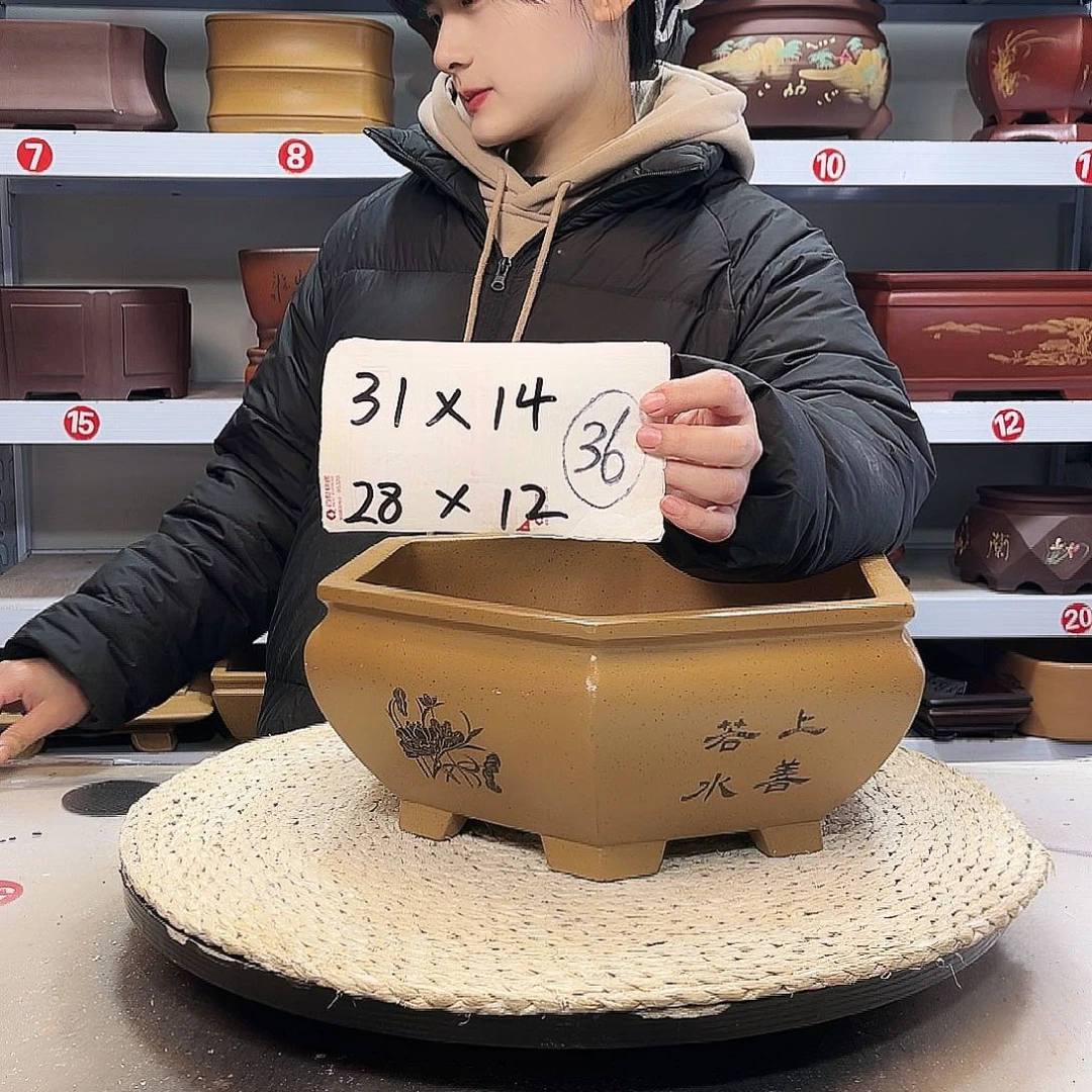 紫砂花盆紫砂花盆