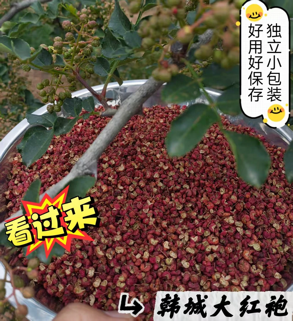 【产地直发】陕西韩城新鲜大红袍花椒麻味足颗粒大颜色正