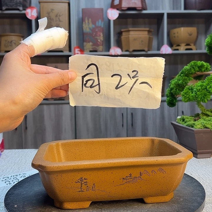 花盆紫砂紫砂第一