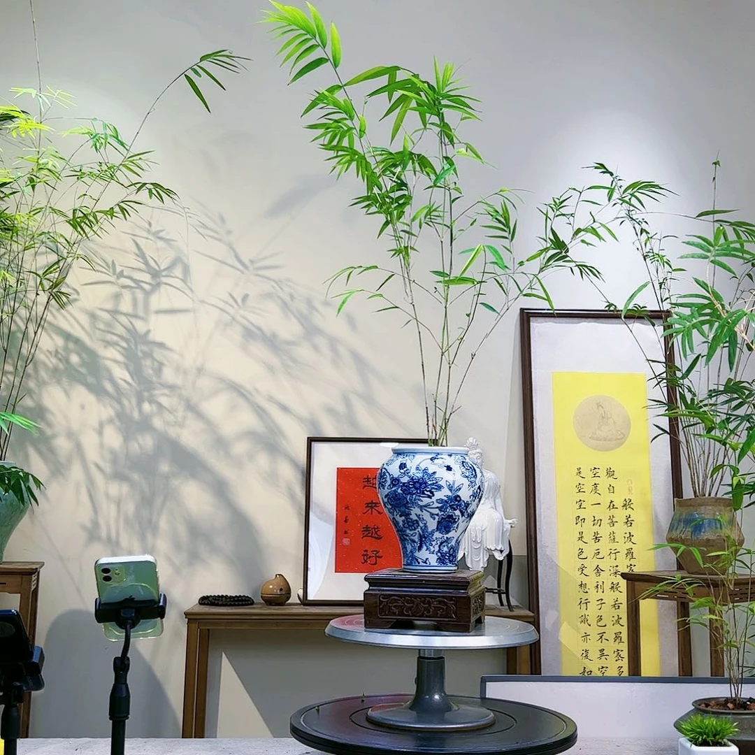 笑*老桩精品竹盆景