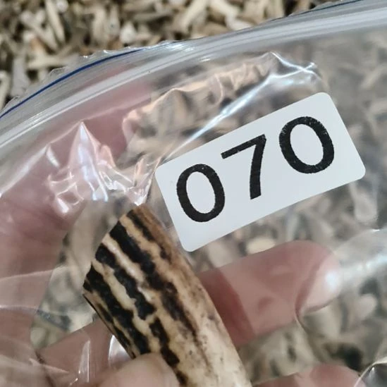 小***刀鹿角鹿角鹿角鹿角鹿角鹿角