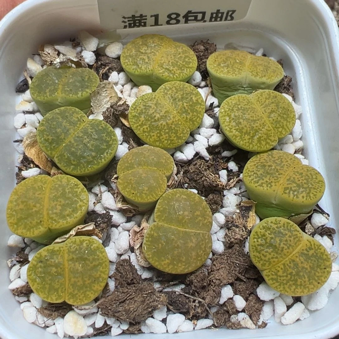 【闪购商品】 754。