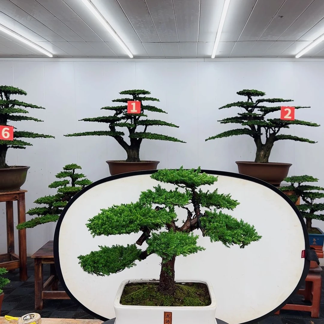 无花朵记***伦00000000000