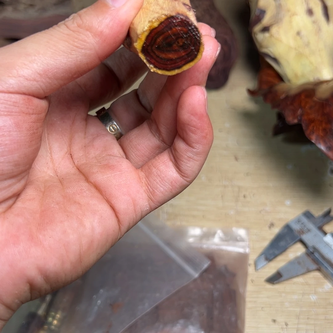 黄花梨/降香黄檀原料定制，不退不换